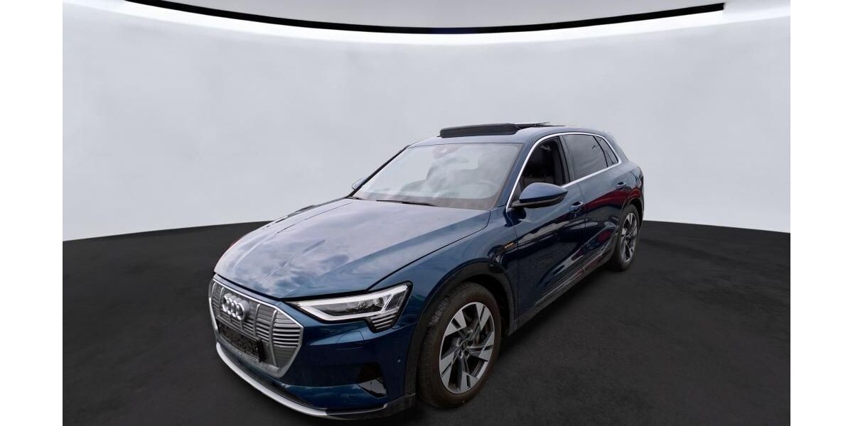 Audi e-tron 31.429 km 33.095 &euro; Hagen 58091