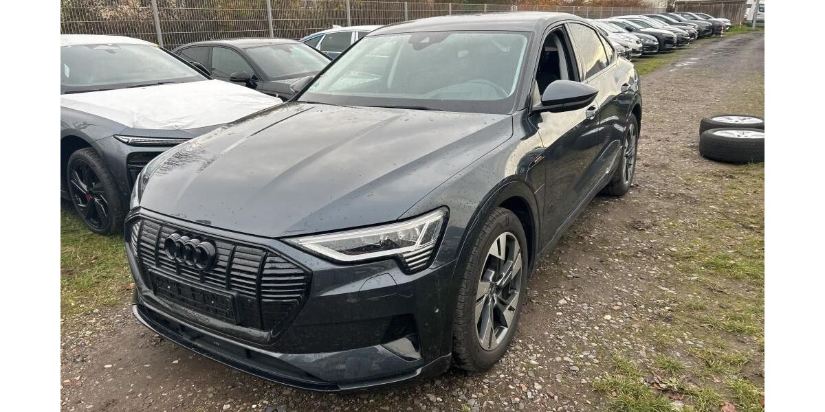 Audi e-tron 32.983 km 30.340 &euro; Hagen 58091