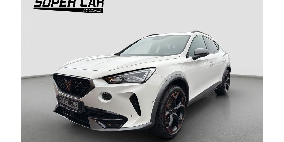 Cupra Formentor 79.000 km 28.500 &euro; Plettenberg 58840