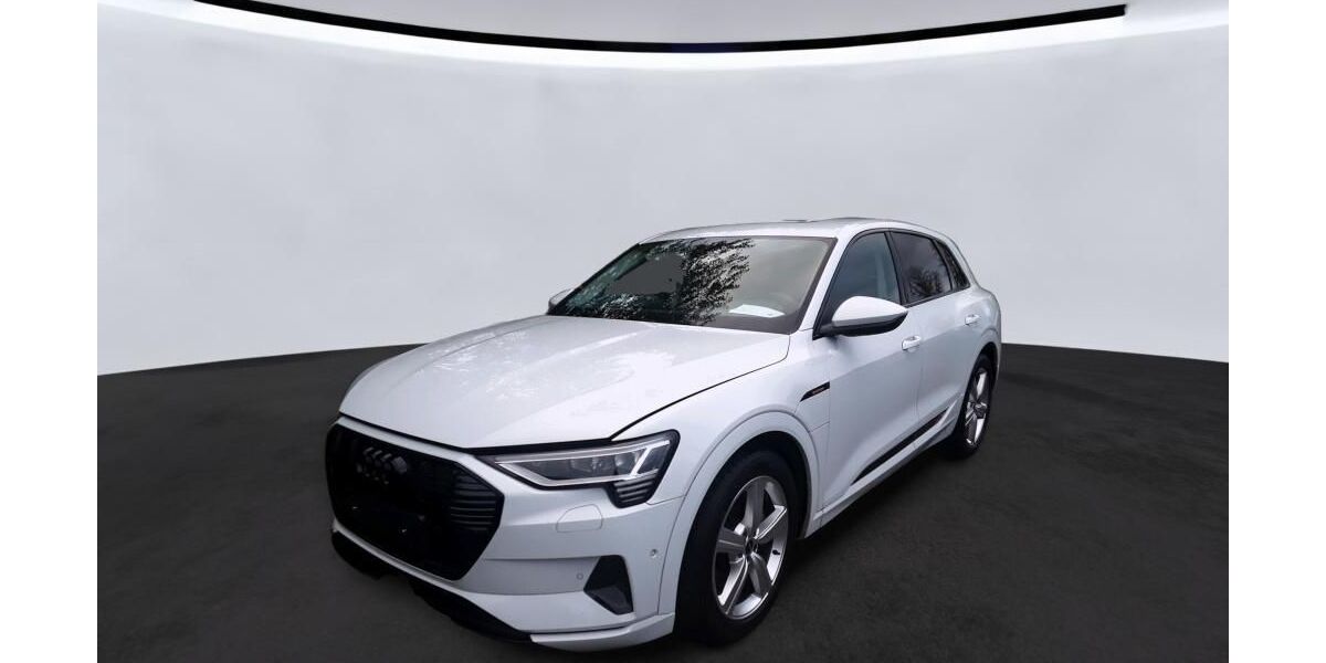 Audi e-tron 26.191 km 30.765 &euro; Hagen 58091