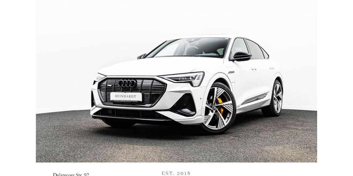 Audi e-tron 40.865 km 37.593 &euro; Hagen 58091