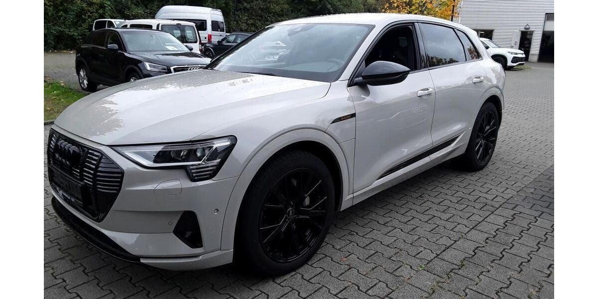 Audi e-tron 49.998 km 29.015 &euro; Hagen 58091