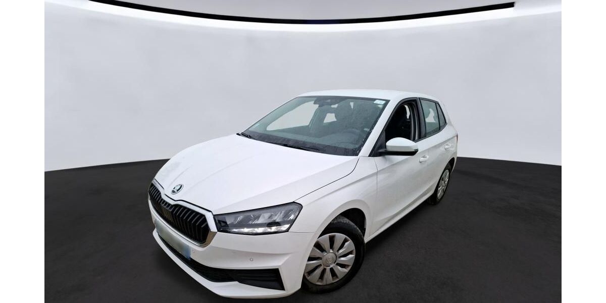 Skoda Fabia 49.056 km 11.480 &euro; Hagen 58091