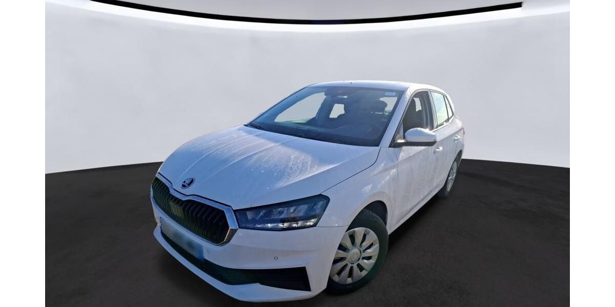 Skoda Fabia 41.820 km 11.485 &euro; Hagen 58091