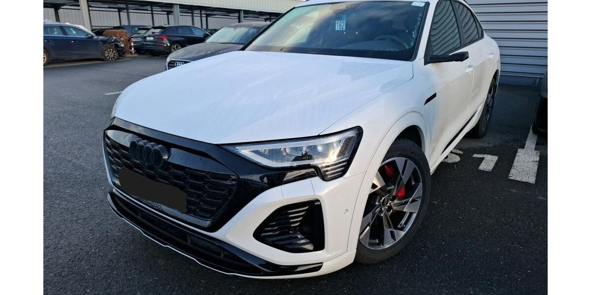 Audi Q8 e-tron 55.309 km 49.815 &euro; Hagen 58091