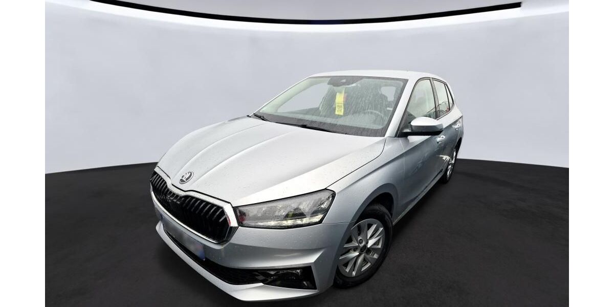 Skoda Fabia 45.350 km 13.910 &euro; Hagen 58091