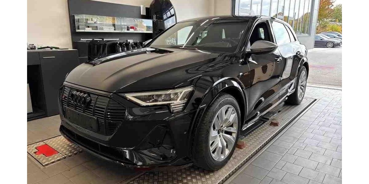 Audi e-tron 62.135 km 39.840 &euro; Hagen 58091