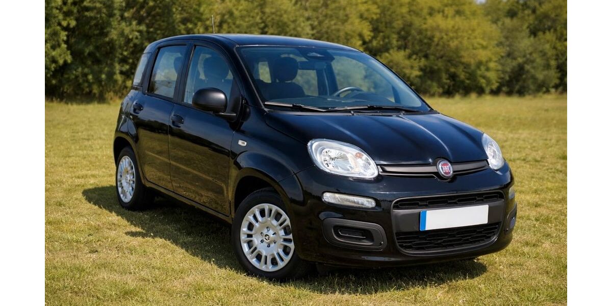 Fiat Panda 5.800 km 13.390 &euro; Gummersbach 51643