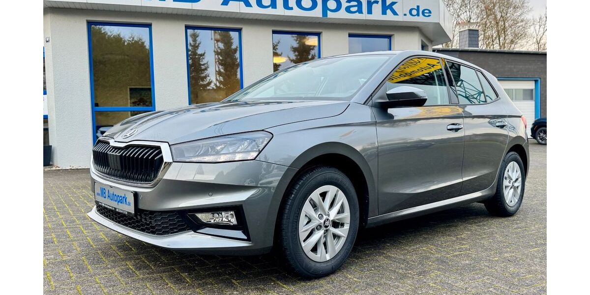 Skoda Fabia 9.850 km 22.790 &euro; Meinerzhagen 58540