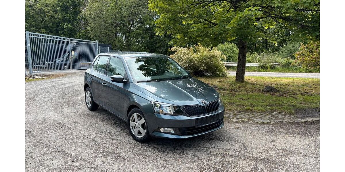 Skoda Fabia 36.000 km 8.700 &euro; Lüdenscheid 58511