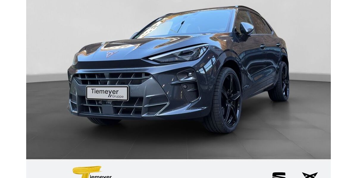 Cupra Terramar 2.999 km 54.980 &euro; Plettenberg 58840