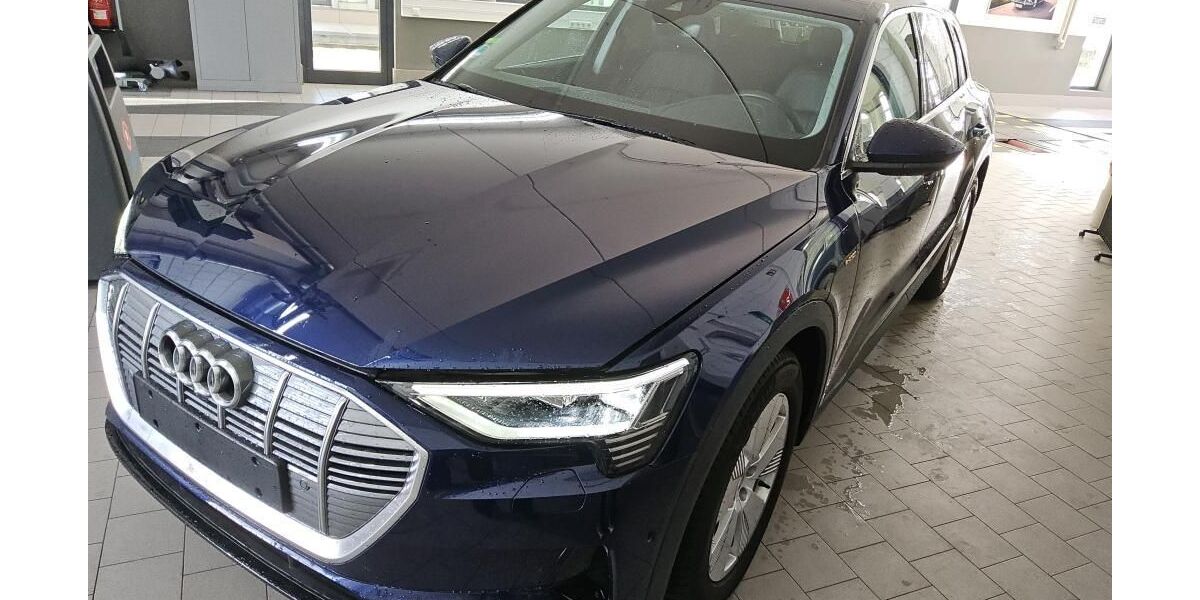 Audi e-tron 38.891 km 37.565 &euro; Hagen 58091