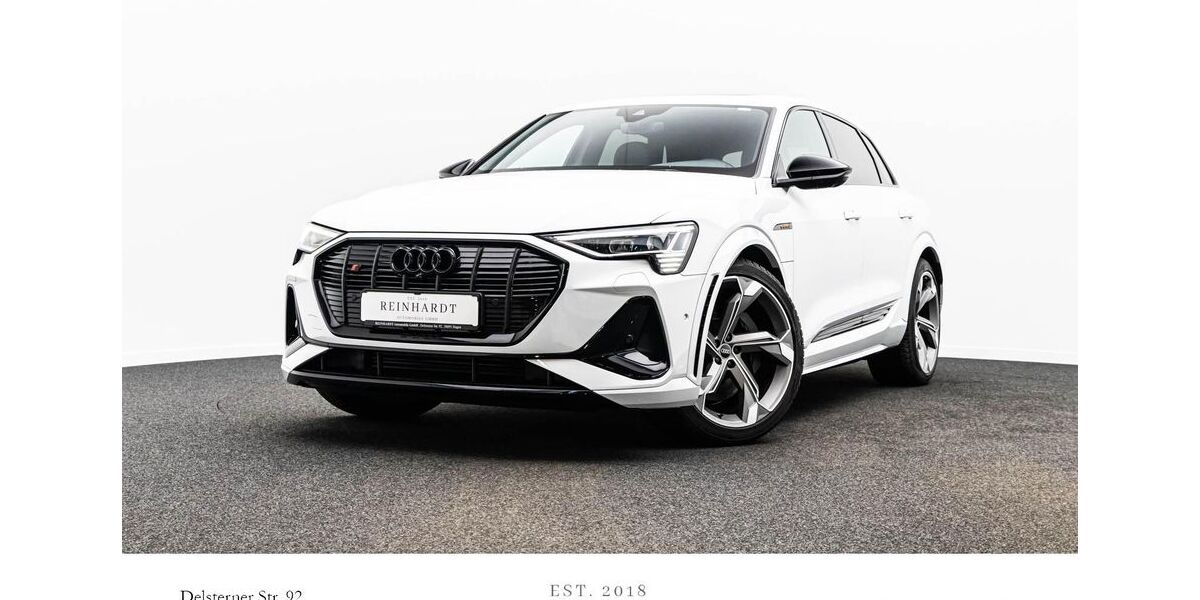 Audi e-tron 41.125 km 42.560 &euro; Hagen 58091