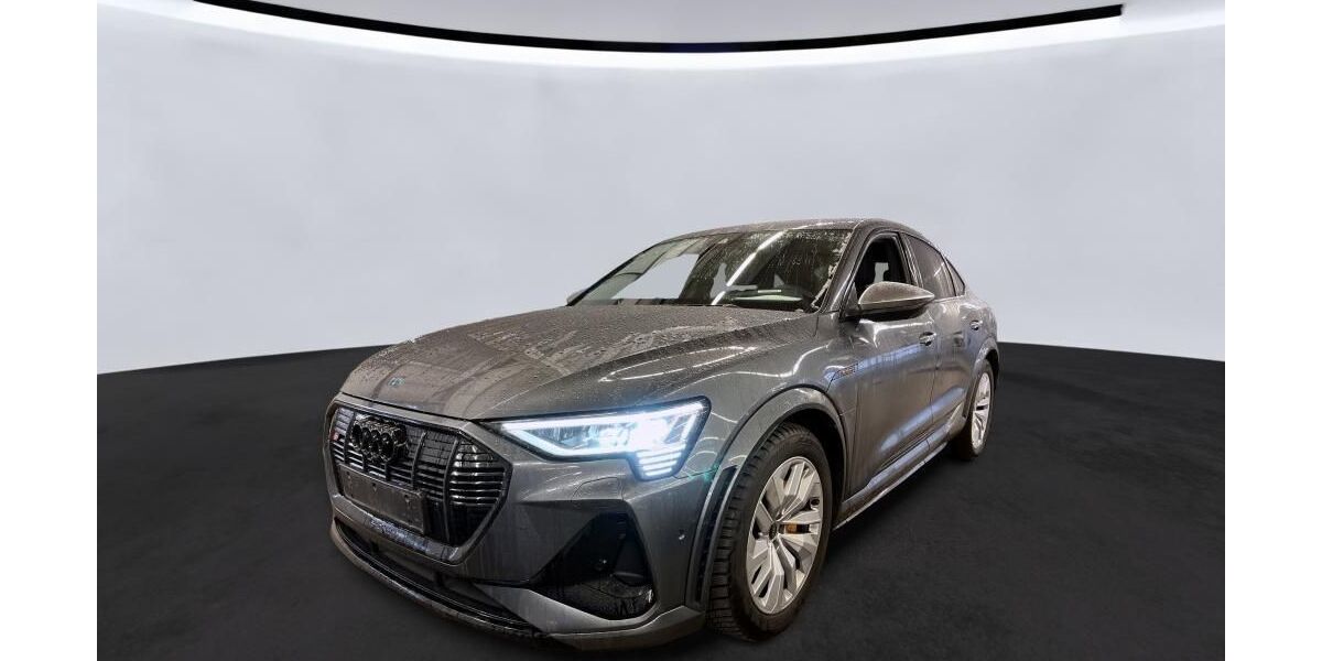 Audi e-tron 67.282 km 43.070 &euro; Hagen 58091