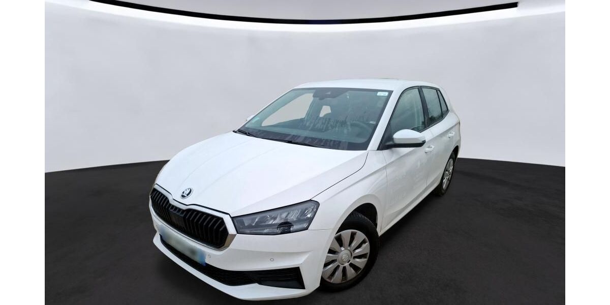 Skoda Fabia 39.999 km 11.680 &euro; Hagen 58091