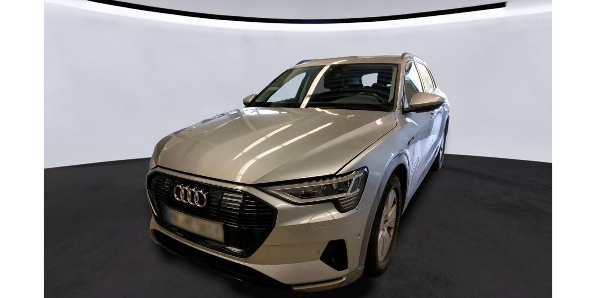 Audi e-tron 22.478 km 29.770 &euro; Hagen 58091
