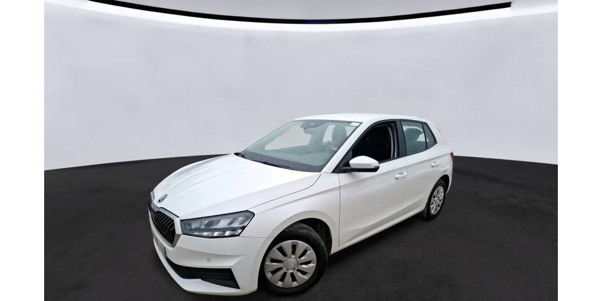 Skoda Fabia 51.329 km 11.485 &euro; Hagen 58091