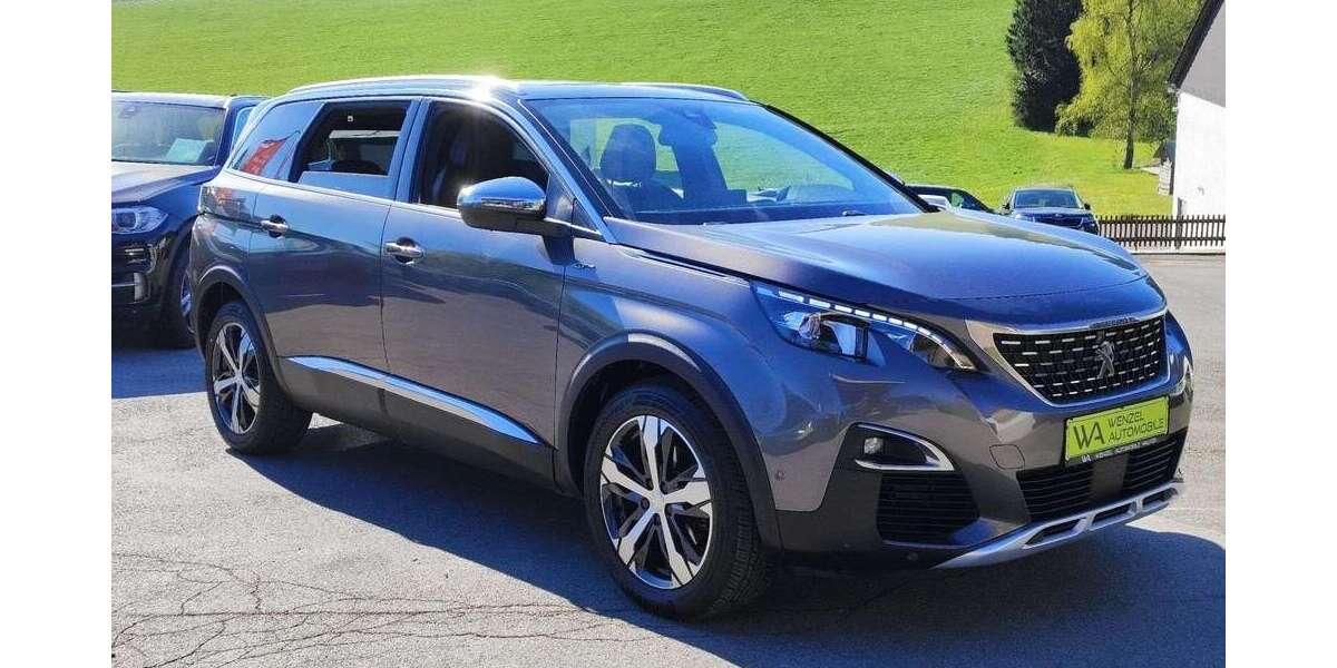 Peugeot 5008 166.410 km 17.995 &euro; Halver 58553