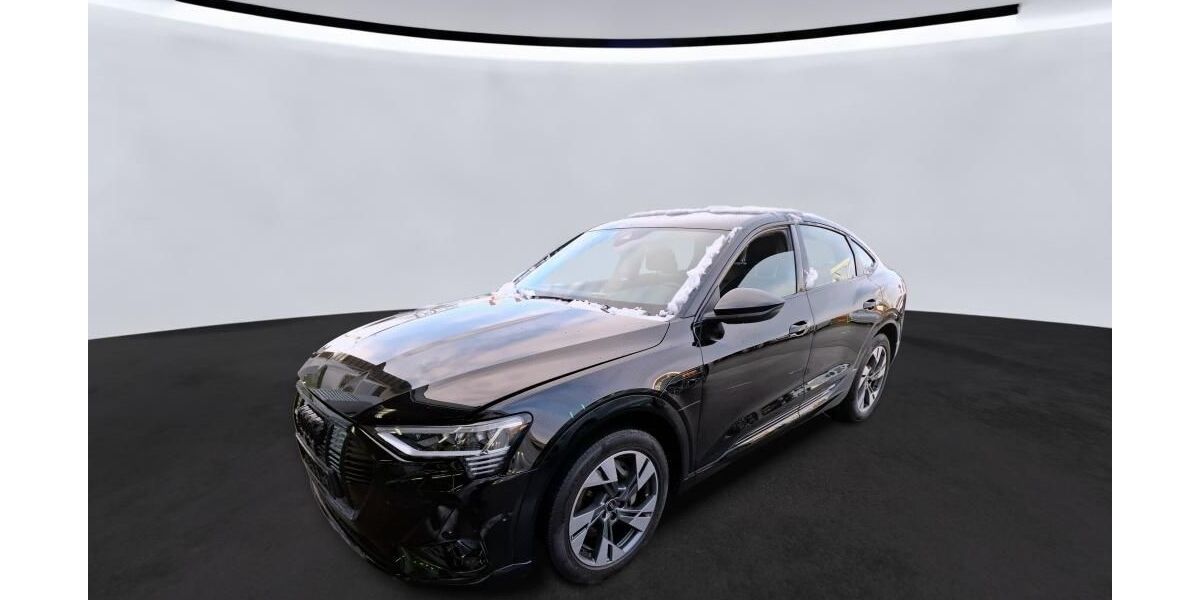 Audi e-tron 53.002 km 35.070 &euro; Hagen 58091